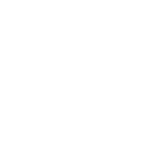 Stonelio